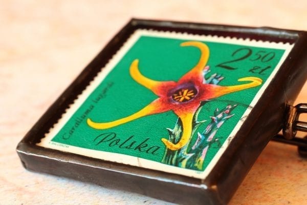 Dzikie Twory broszka ze znaczkiem pocztowym kwiat caralluma
