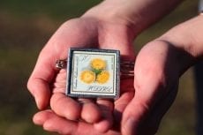 Dzikie Twory - broszka ze znaczkiem pocztowym kwiat centuria