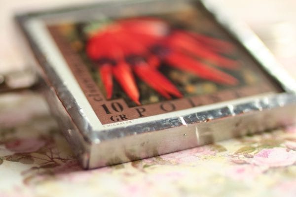 Dzikie Twory - broszka ze znaczkiem pocztowym kwiat clianthus dampieri