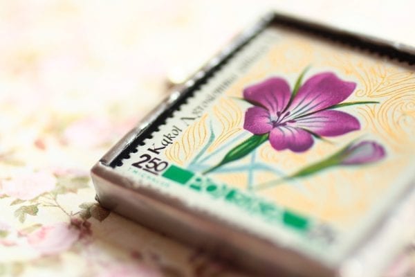 Dzikie Twory - broszka ze znaczkiem pocztowym kwiat kąkol polny