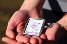 Dzikie Twory - broszka ze znaczkiem pocztowym kwiat świerzbnica polna