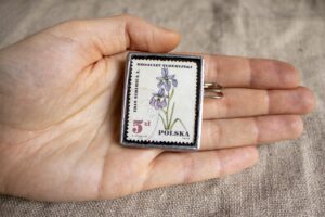 Dzikie Twory - broszka ze znaczkiem pocztowym z 1967 roku - kwiat kosaciec syberyjski, wielkość broszki