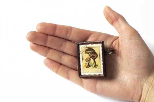 Dzikie Twory - wielkość broszki ze znaczkiem pocztowym szyszkowiec