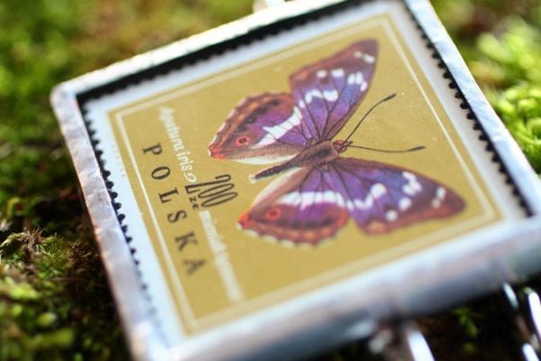Dzikie Twory - broszka ze znaczkiem pocztowym motyl mieniak tęczowiec