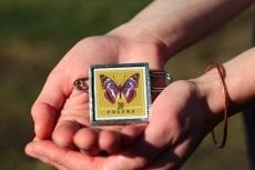 Dzikie Twory - broszka ze znaczkiem pocztowym motyl mieniak tęczowiec