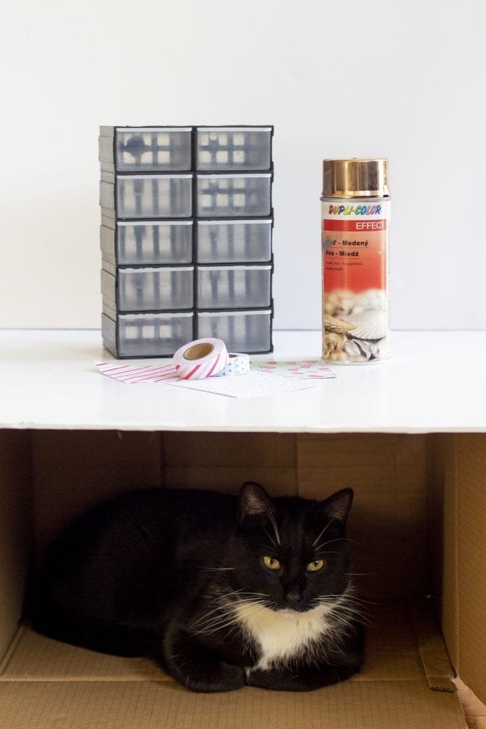 Dzikie Twory - materiały potrzebne do ozdobienia organizera oraz kot pilnujący planu zdjęciowego
