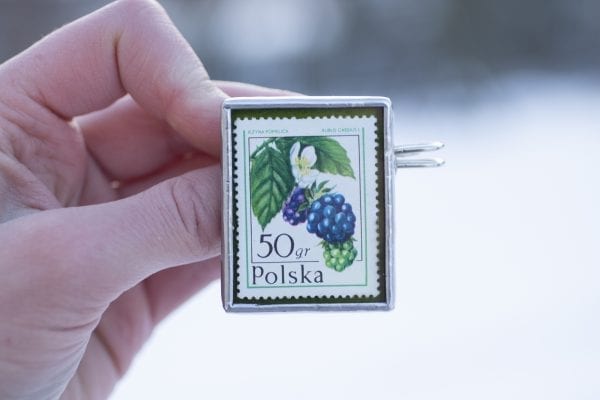 Dzikie Twory - broszka ze znaczkiem pocztowym z 1977roku - jeżyna popielica