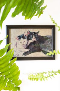 Dzikie Twory - akwarelowa grafika w ramce, na tkaninie lnianej - Przytulone koty