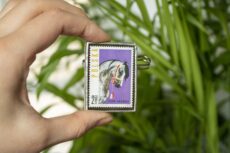Dzikie Twory - broszka ze znaczkiem pocztowym z 1963 roku - koń arabski