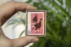 Dzikie Twory - broszka ze znaczkiem pocztowym z 1963 roku - konie mazurskie
