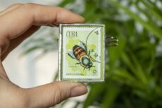 Dzikie Twory - broszka ze znaczkiem pocztowym z Kuby z 1971 roku - pszczoła truteń